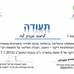 סדנת מניפולציה של צ'י להגברת אפקטיביות הדיקור