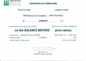 שיטת האיזון