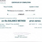 דיקור בשיטת האיזון