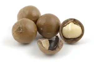 אגוזי מקדמיה עשירים בקלוריות