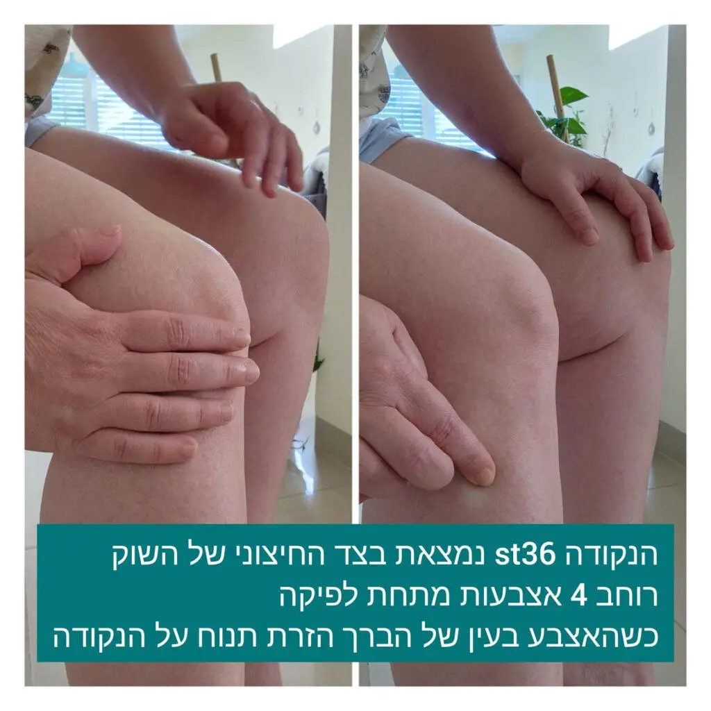 נקודת דיקור ST36