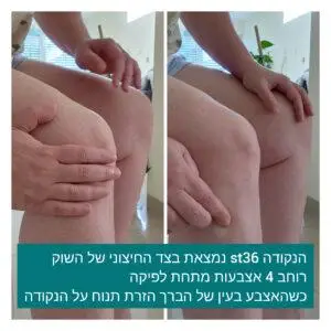 נקודת דיקור ST36