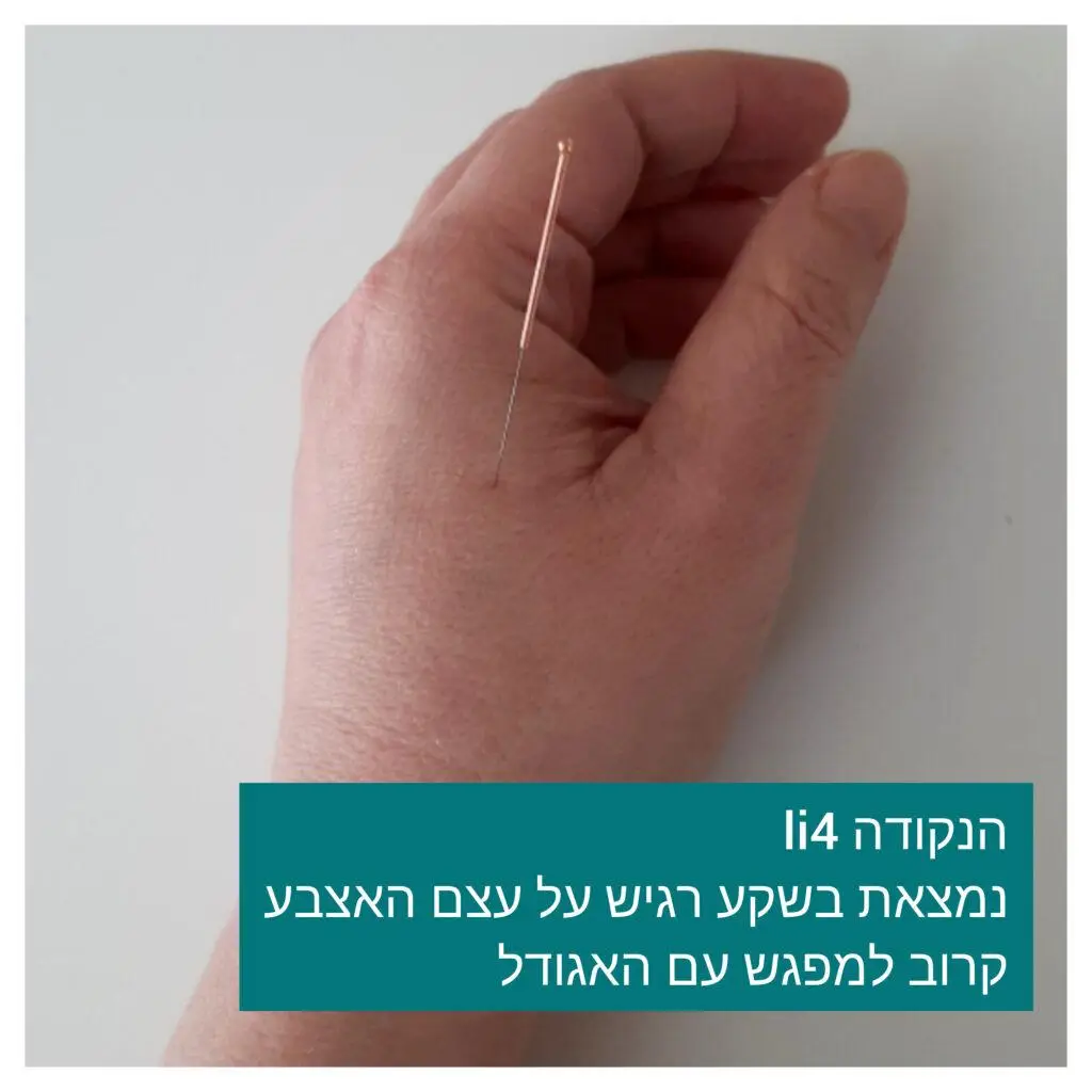 נקודת דיקור LI4