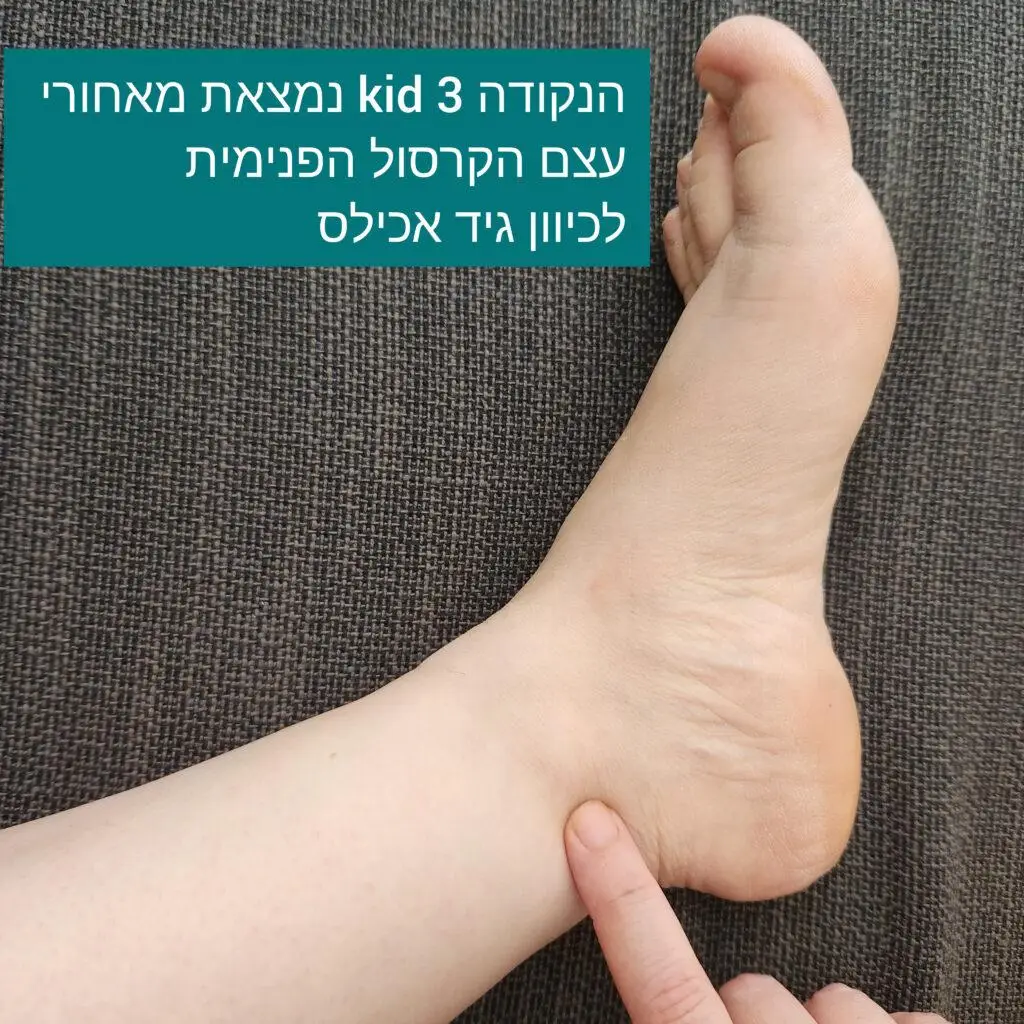 נקודת דיקור KID3