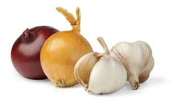 מזונות מחזקי מערכת הנשימה