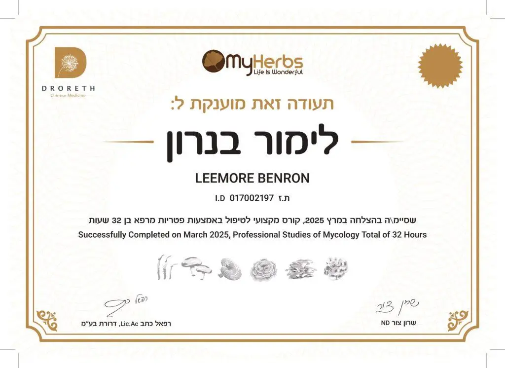 מיקותרפיה