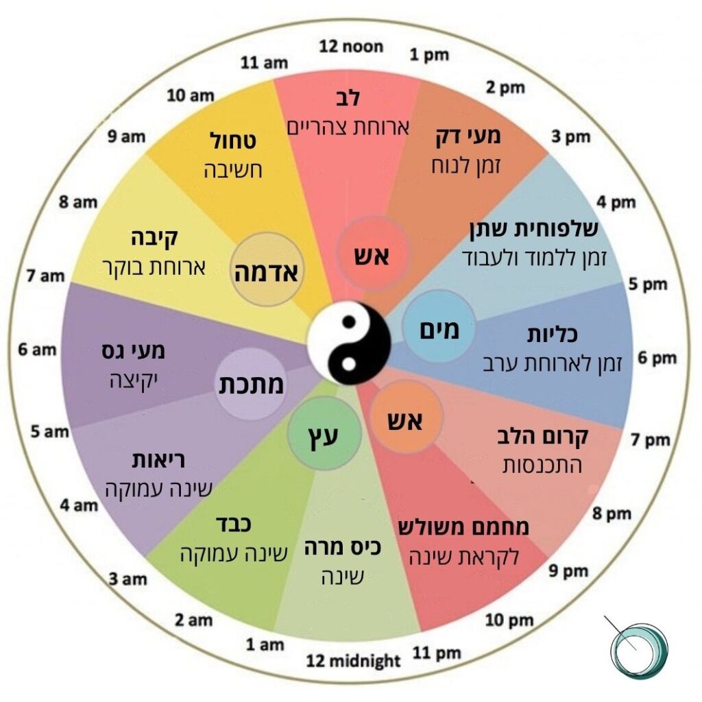 שעון ביולוגי סיני