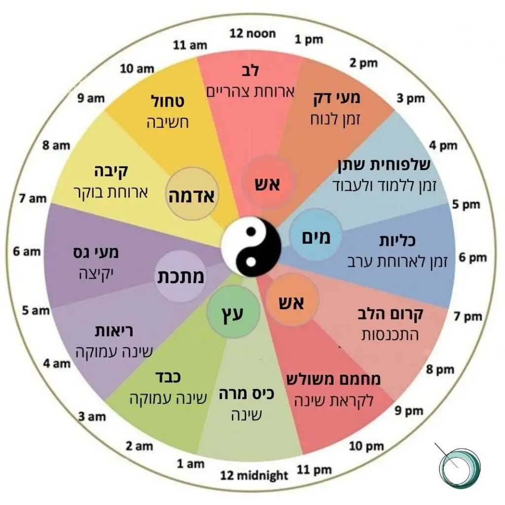 שעון ביולוגי סיני