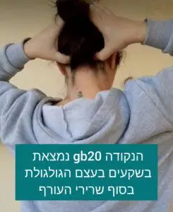 נקודת דיקור GB20