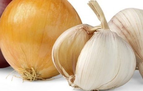 המלצות תזונה שלי למטופלות – חיזוק מערכת הנשימה