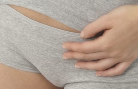 מערכת הרבייה הנשית | מערכת הרבייה הנקבית