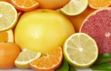 פירות הדר | פרות הדר