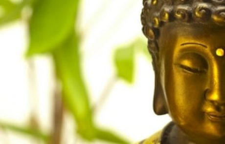 סינית אתה מדבר אליי? מושגי יסוד – מרידיאנים, צ'י, יין יאנג