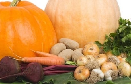 המלצות תזונה שלי למטופלות – חיזוק בסיסי