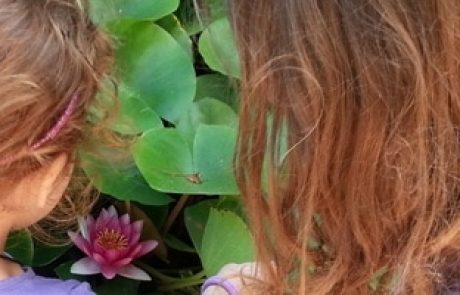 טעימות מהקליניקה – אתגרים באמהות