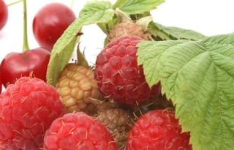 המלצות תזונה שלי למטופלות – חיזוק מערכת הפוריות