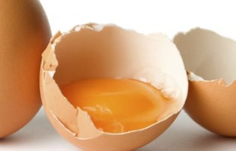 ביצים: בריאות ומיתוסים מנופצים