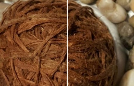 טיפים לקליניקה מתחילה