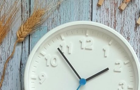 השעון הביולוגי הסיני