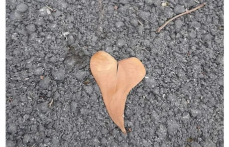 המלצות תזונה שלי למטופלות &ndash; תסמונת קדם וסתית וכאבי מחזור